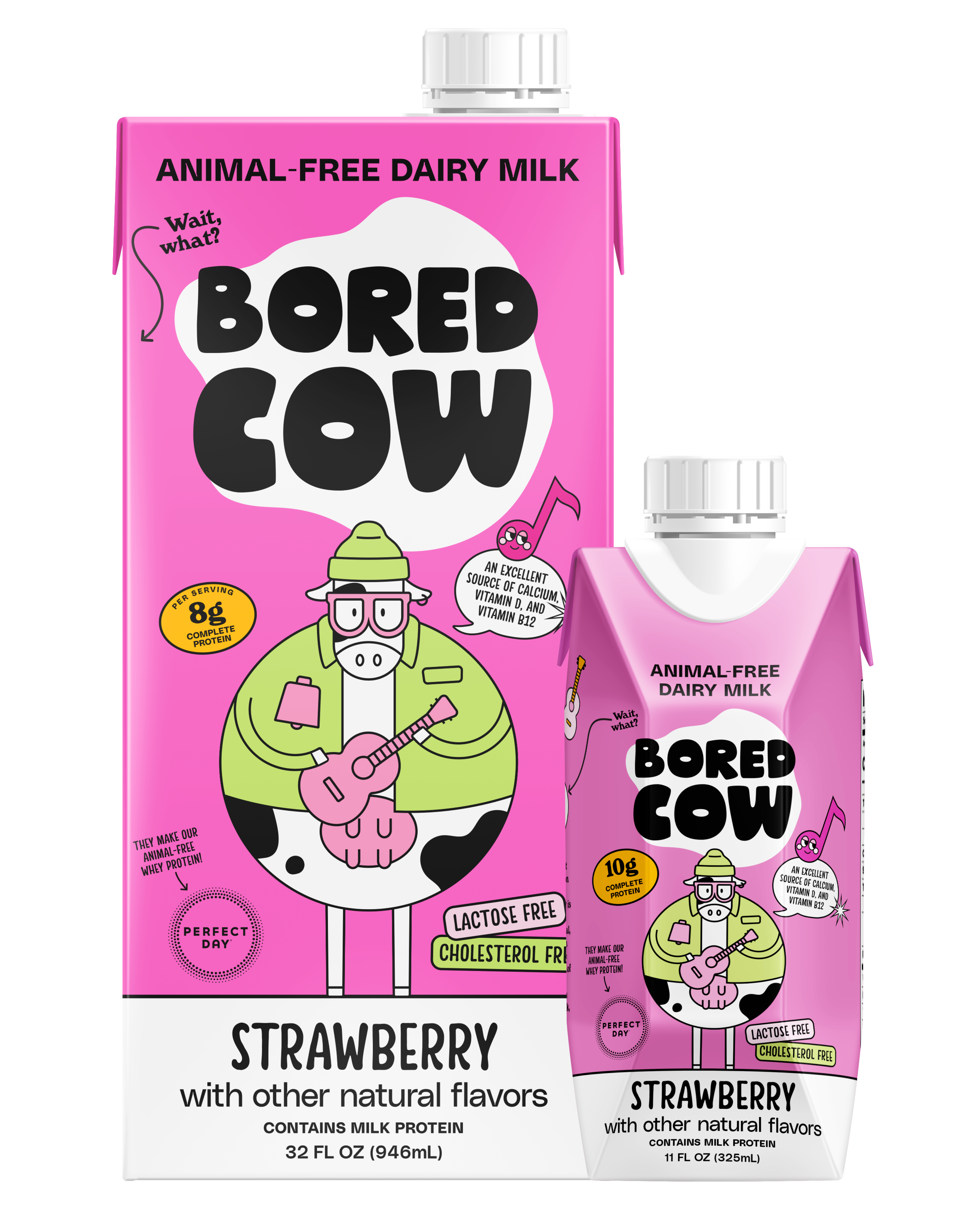 Borden launches nutritionally enhanced milk for kids